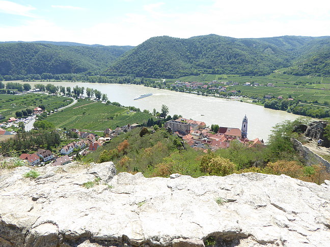 P1020769