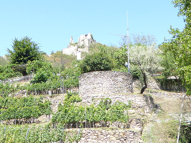 Ruine Dürnstein P1020758